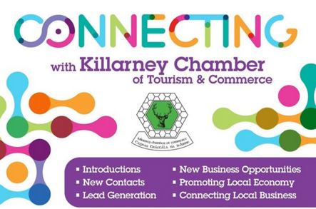 Killarney chamber of commerce speed networking event